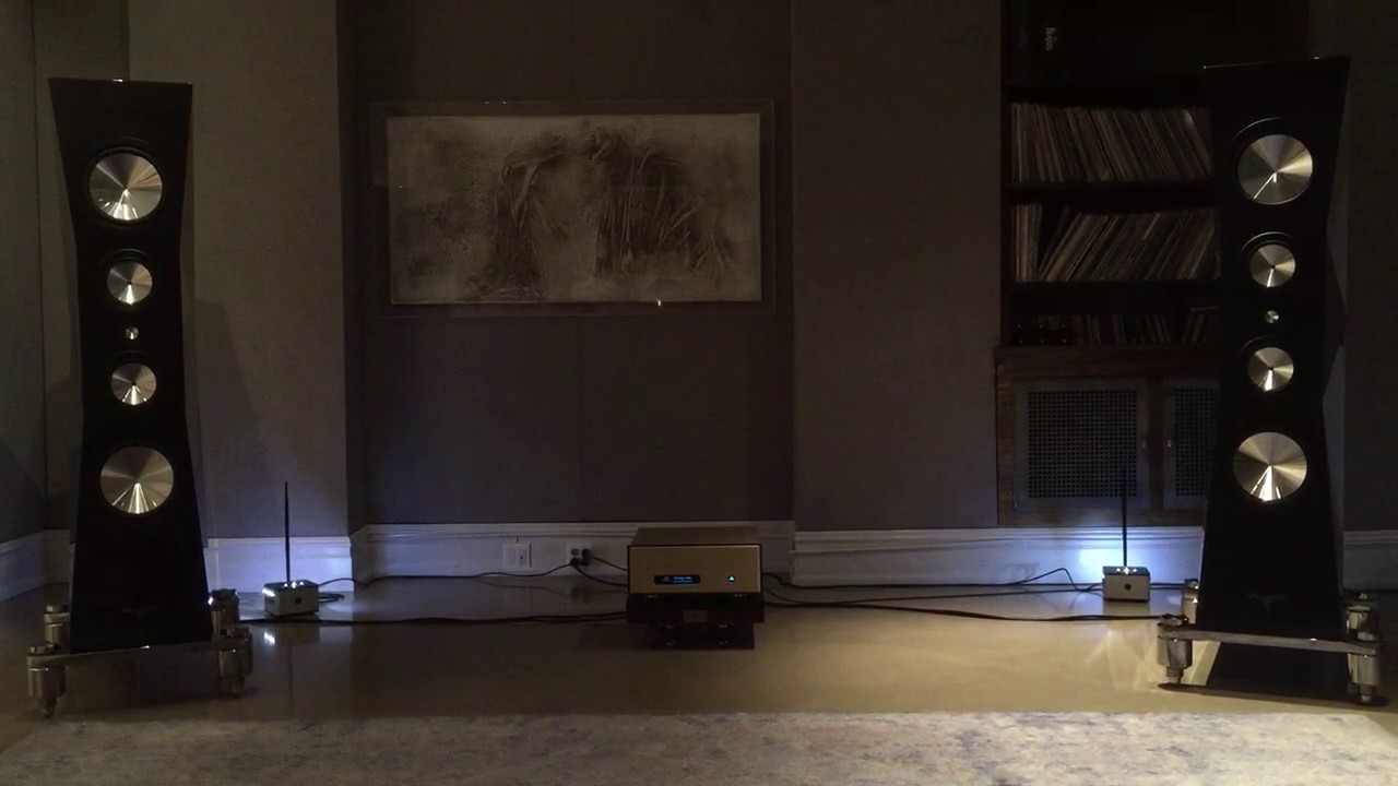 Zellaton Statement with FM Acoustic  - rocking to electronic
