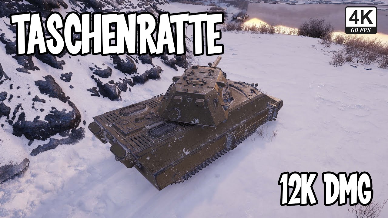 World Of Tanks Taschenratte Perfect 12000 Damage Ace Tanker WOT