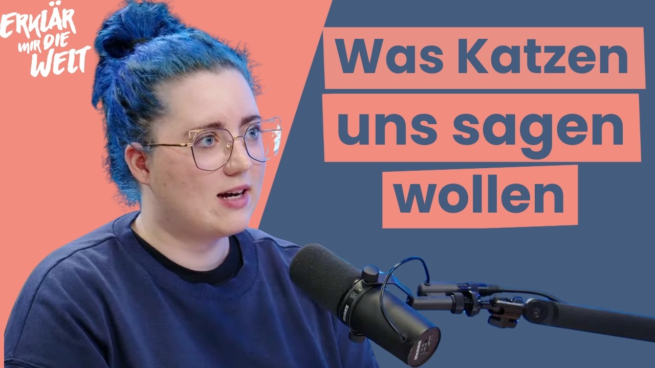 Katzen verstehen lernen 🐱