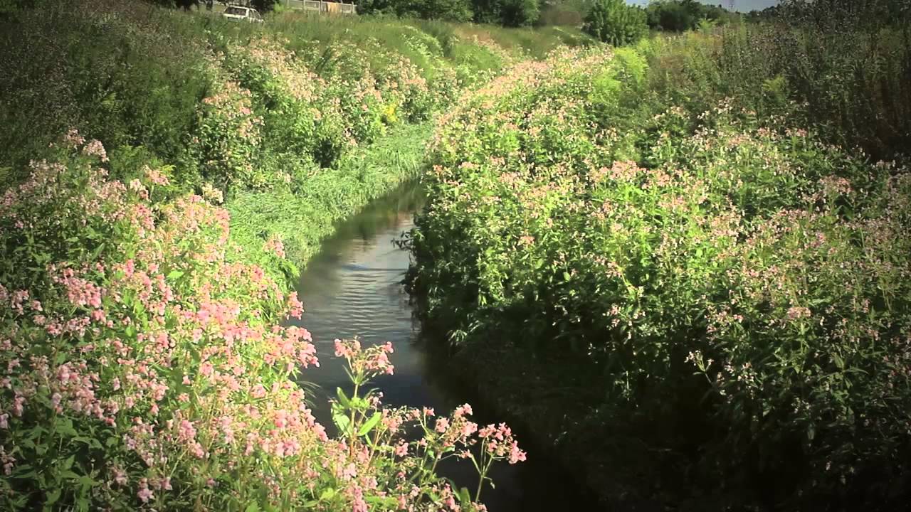 Niezliczone Trzyszczą Źródła - poznaj łódzkie rzeki