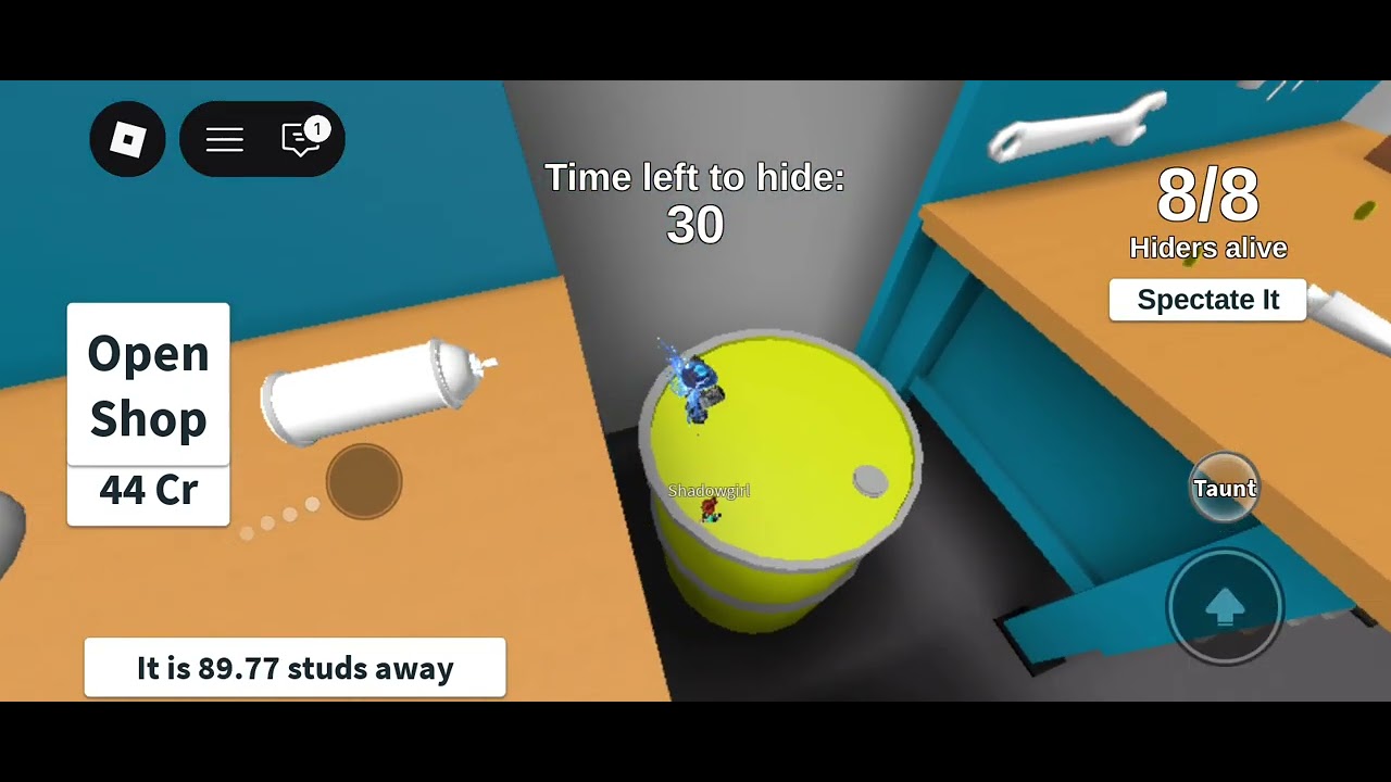 Hide and seek extreme (GAMEPLAY)