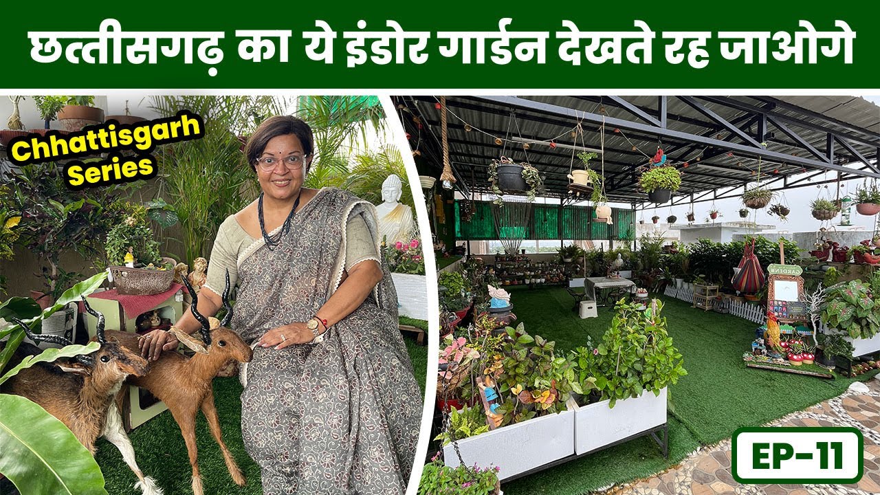 छत्तीसगढ़ की ये इंडोर प्लांट की बगिया है कुछ हटकें 😯🪴 Chhatisgarh Indoor Garden Tour EP-11