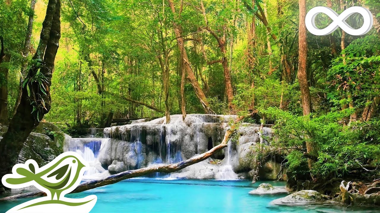 Relaxing Zen Music with Water Sounds &bull; Relax, Sleep, Spa, Yoga, Meditation