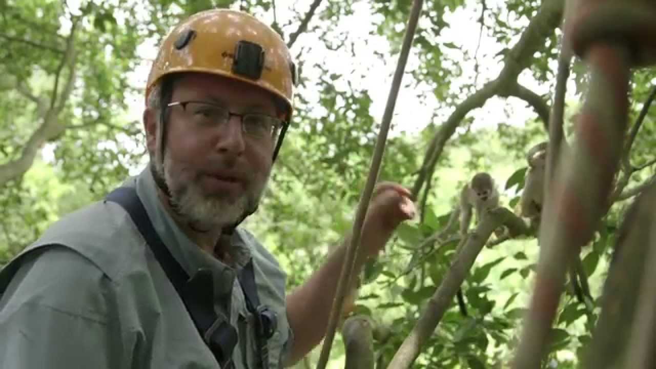 Where Do Our Opposable Thumbs Come From? &mdash; HHMI BioInteractive Video