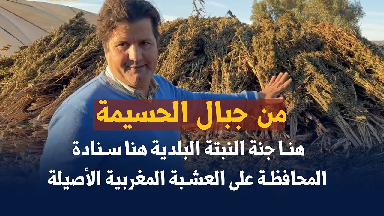 من جبال الحسيمة   هنا جنة النبتة البلدية  هنا سنادة المحافظة على العشبة المغربية  الأصيلة
