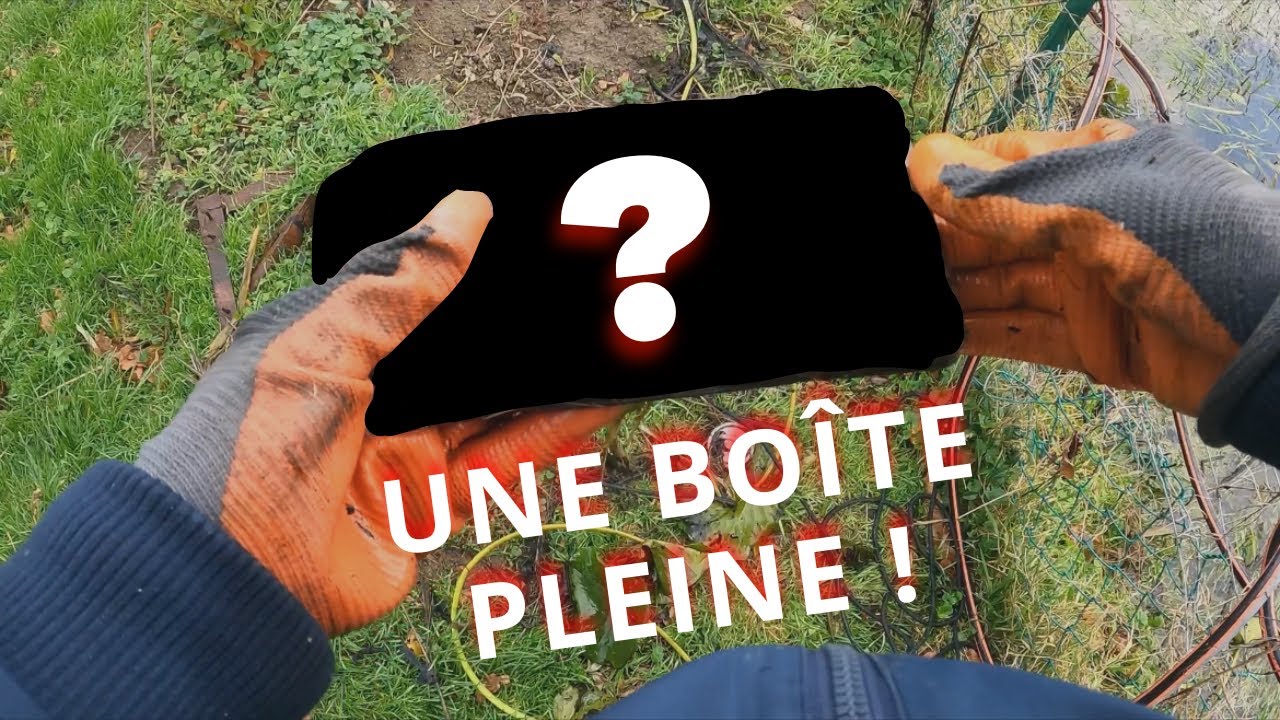 ON TROUVE UNE BOÎTE PLEINE ET DES OBUS DANS CETTE MARE DE 1800 !! PÊCHE À L’AIMANT
