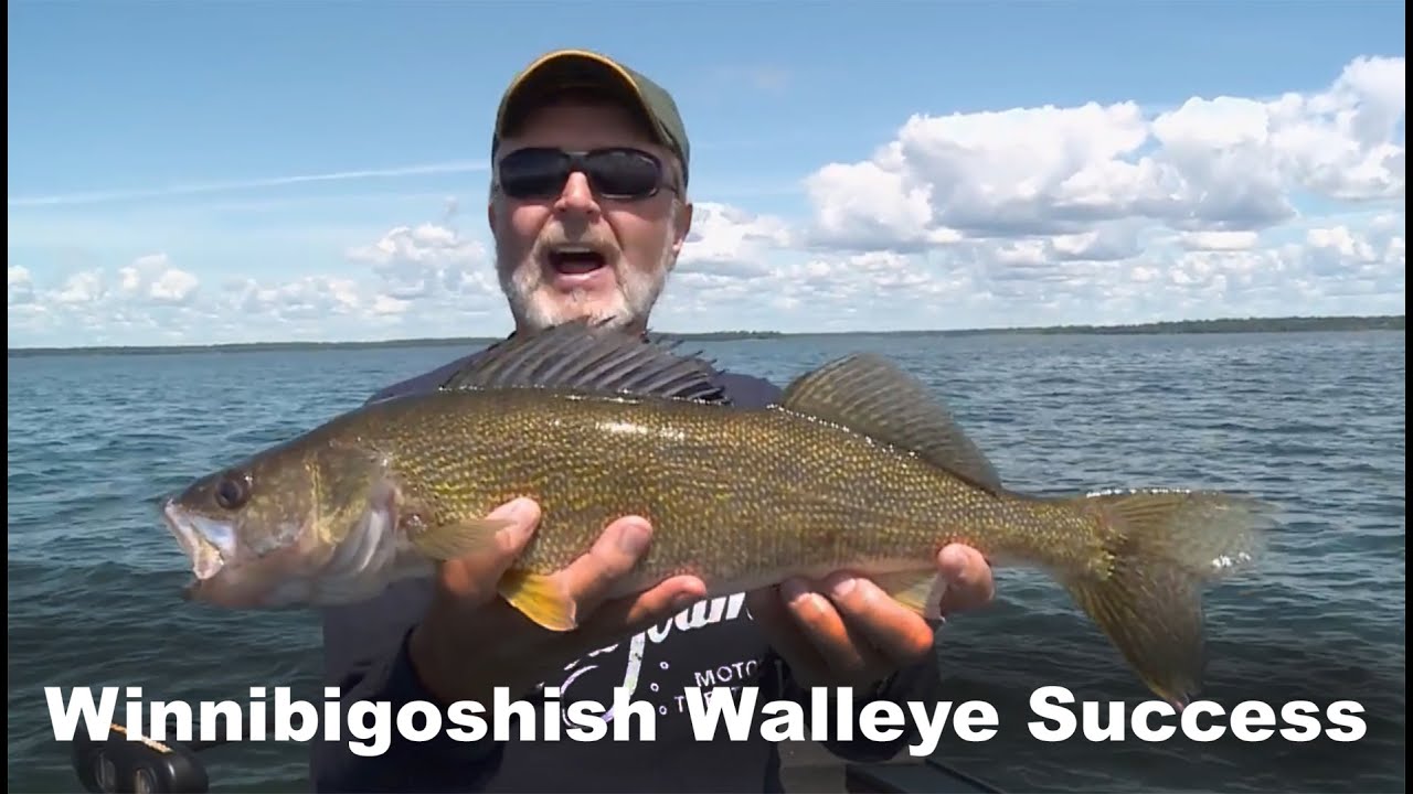 Pro Tips for Winnibigoshish Walleye Success