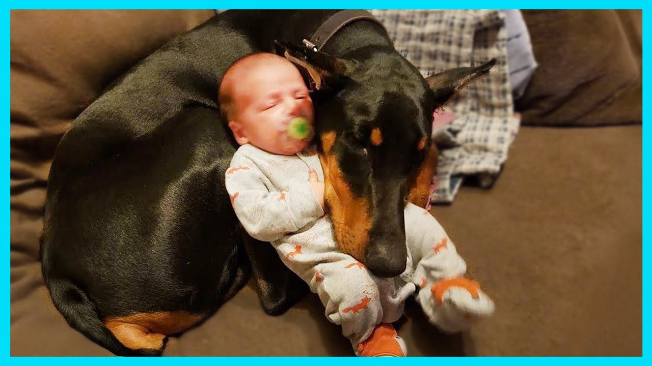 💕 Animals Teach Us Love is What Makes Life Worth Living 🐾 | Cute Priceless Moments