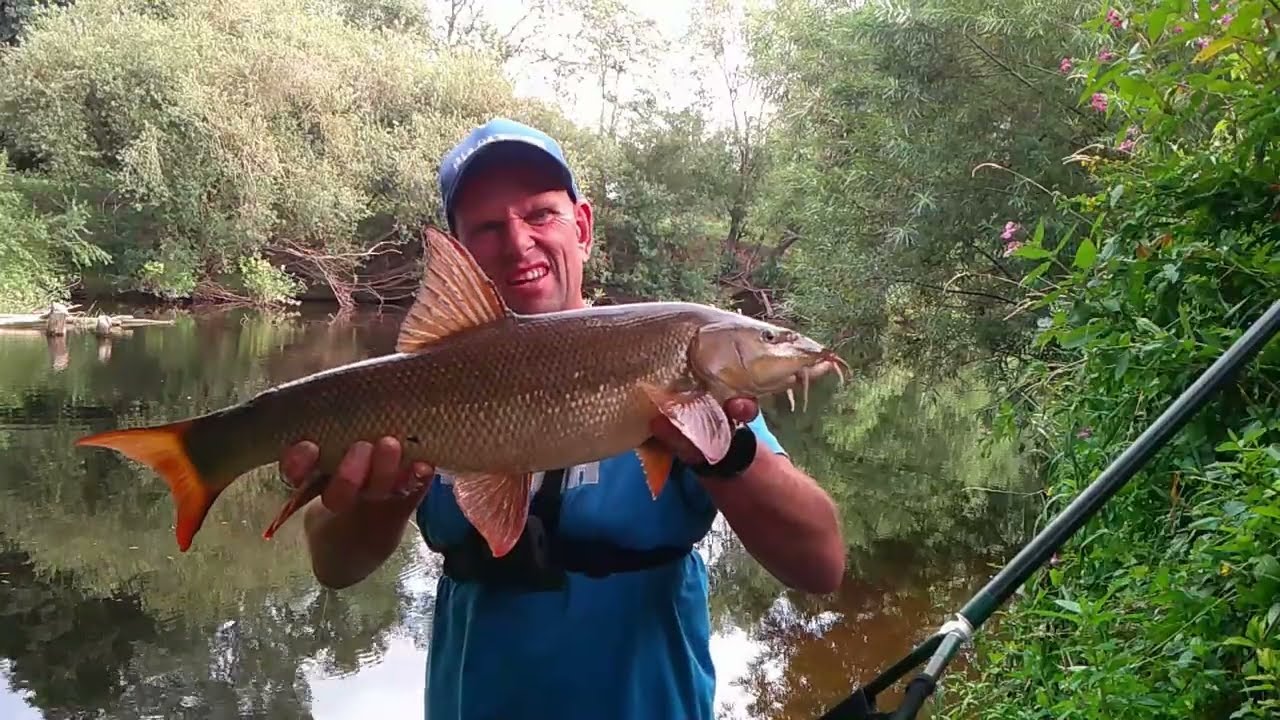 Last Barbel Fishing Of July 2025