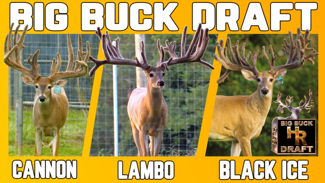 This may be the BEST way to kick start your deer program!