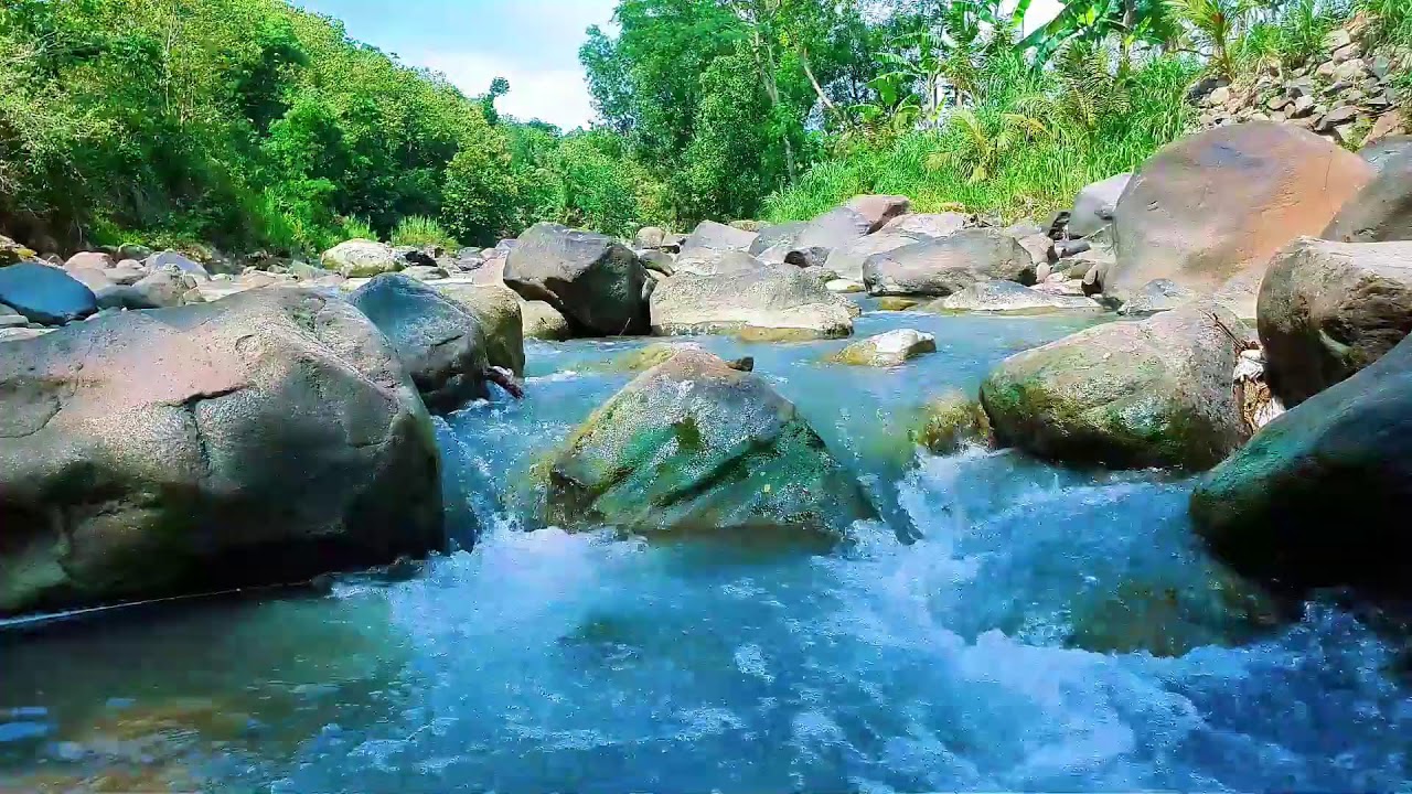Relaxing Ambience for Sleep – Refreshing Forest River Flow for Mind Relaxation