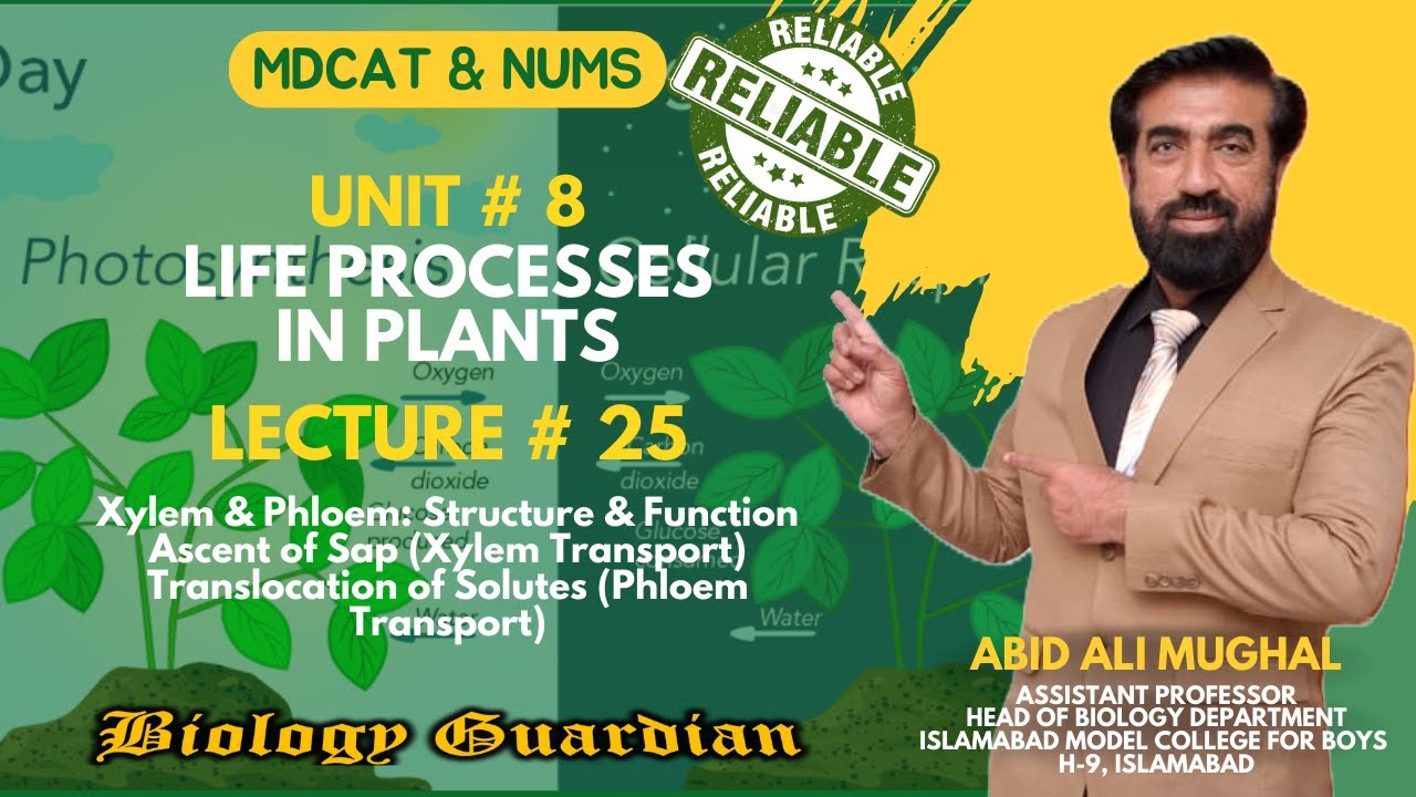 Lecture 25 MDCAT 2022 Biology Preparation Series |Life Processes in Plants (Part-3) PMC/NUMS/NEET