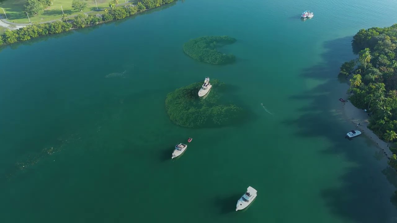 Bay Harbor Islands | Oleta River & North Miami Beach from Above