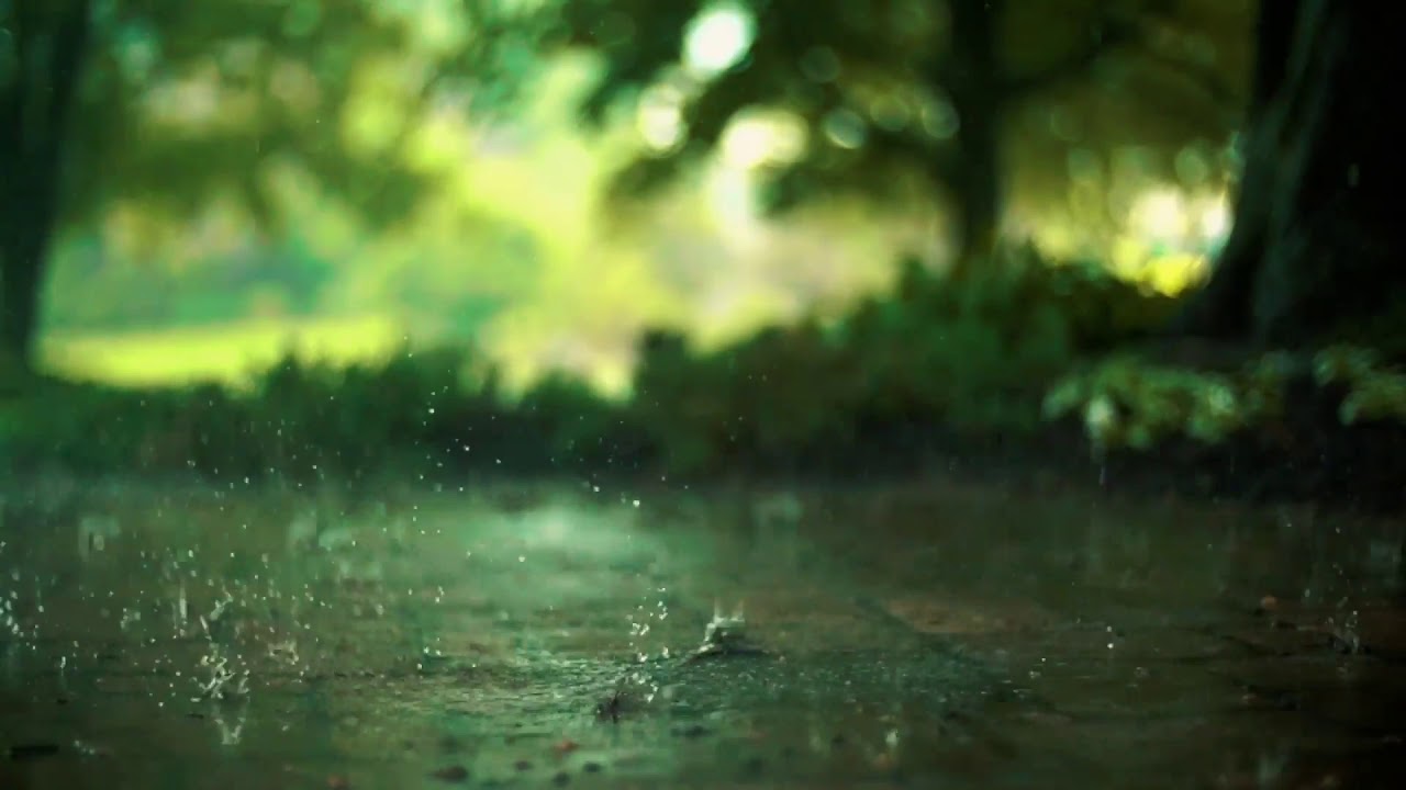 💆🏻‍♀️CALMING RAIN 10Hours | DEEP SLEEP | Nature Sounds | Relaxation | Meditation | Soothing Ambient