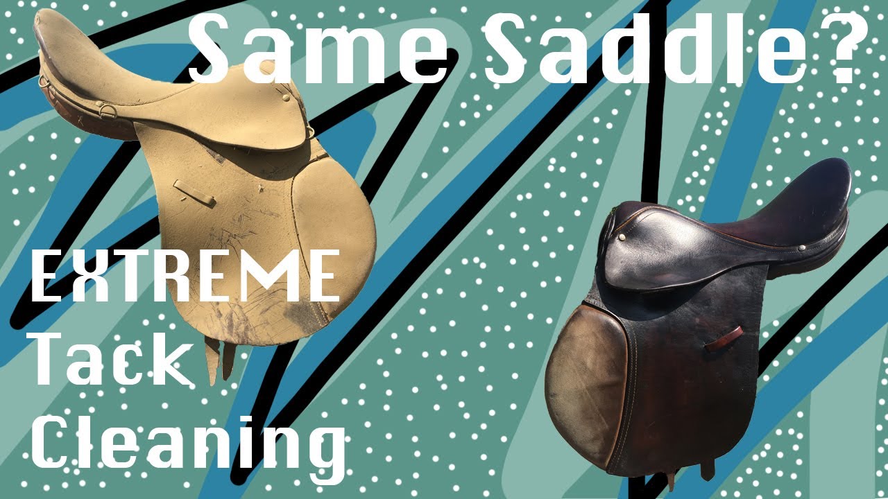 Restoring my Old, English Saddle + Archer/College Update