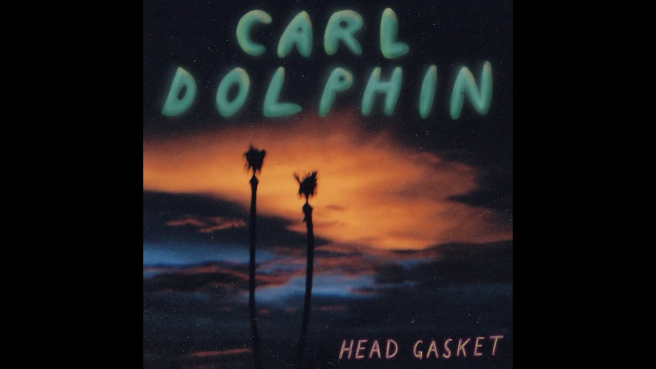 Carl Dolphin - Head Gasket