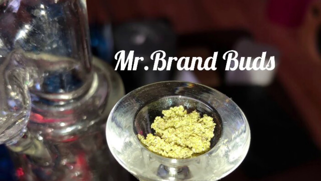 Bubble Hash Family Day