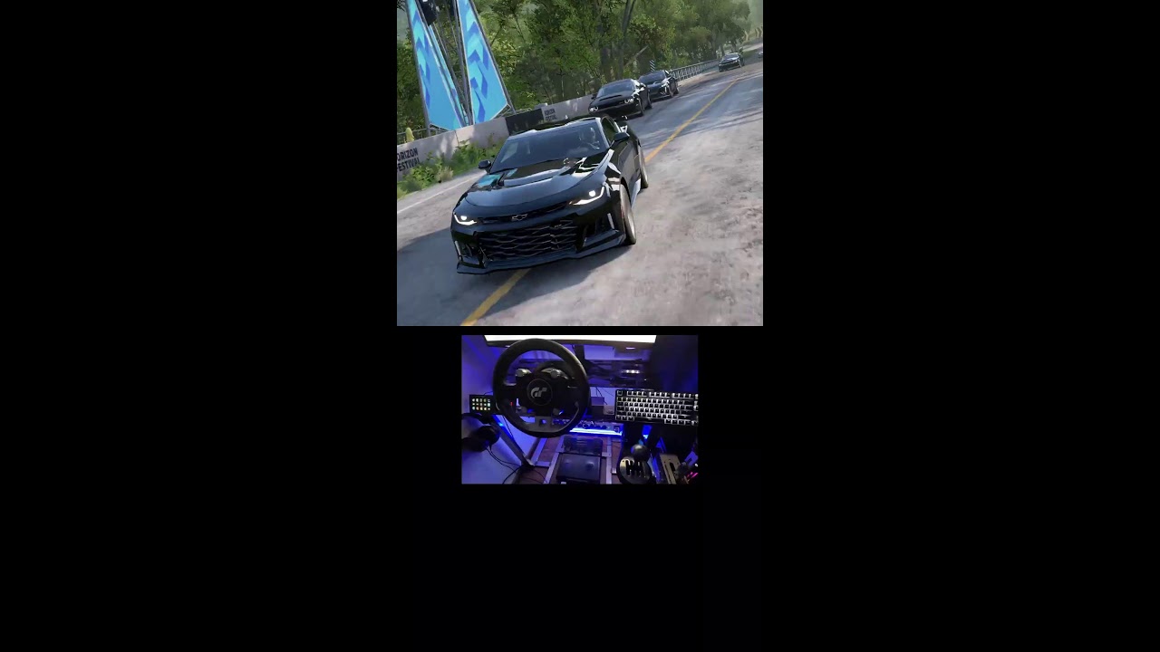 Forza Horizon 5 Live steering wheel