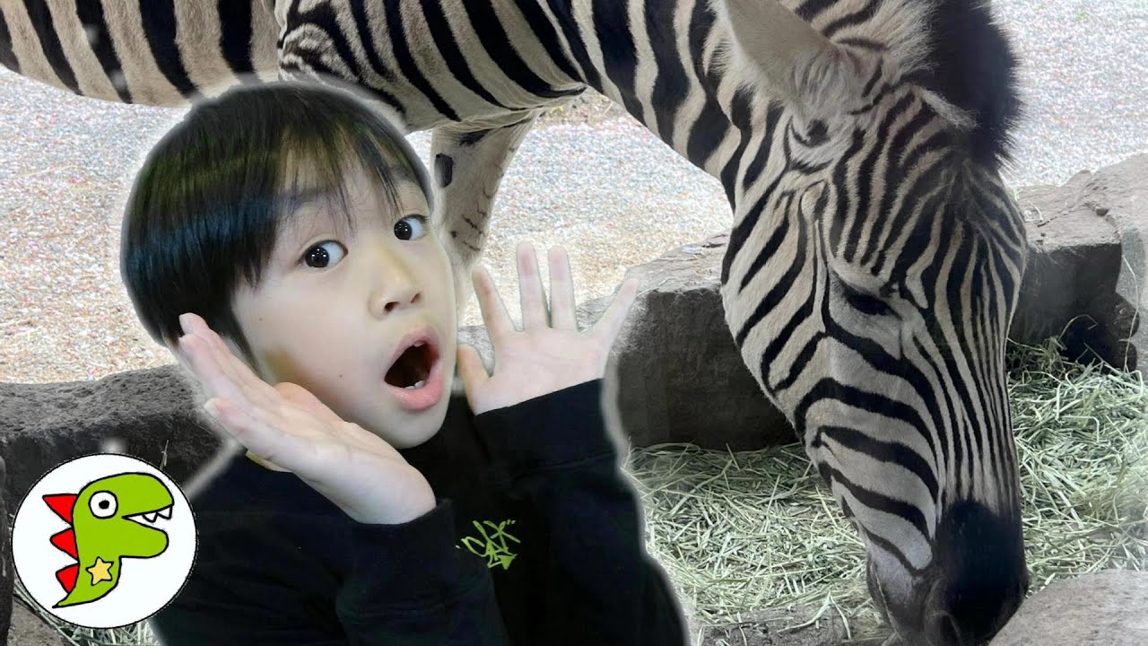 おでかけ 神戸市立王子動物園 どんなどうぶつがいたかな？さがしてみよう！ トイキッズ