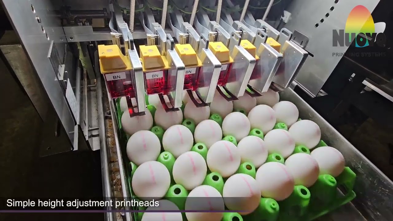Nuovo Egg Printer - Egg-Jet R6 23 SFP200SX40