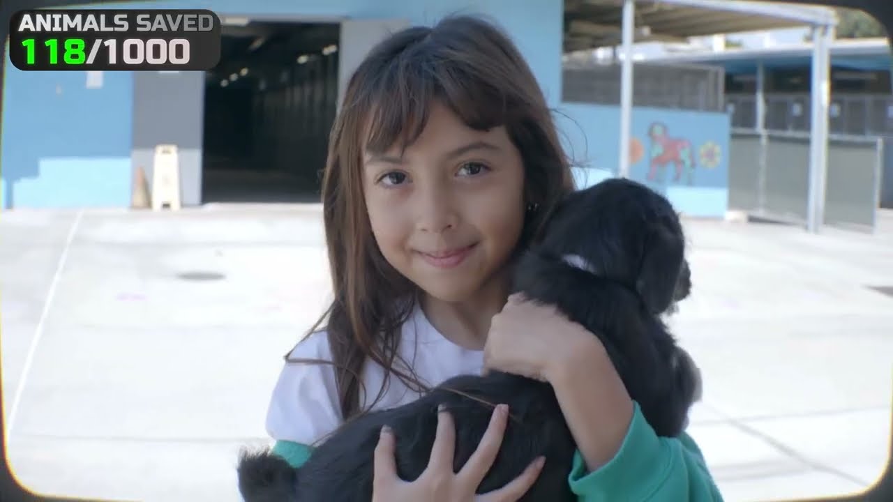 “I Helped Save 1,000 Animals’ Lives”