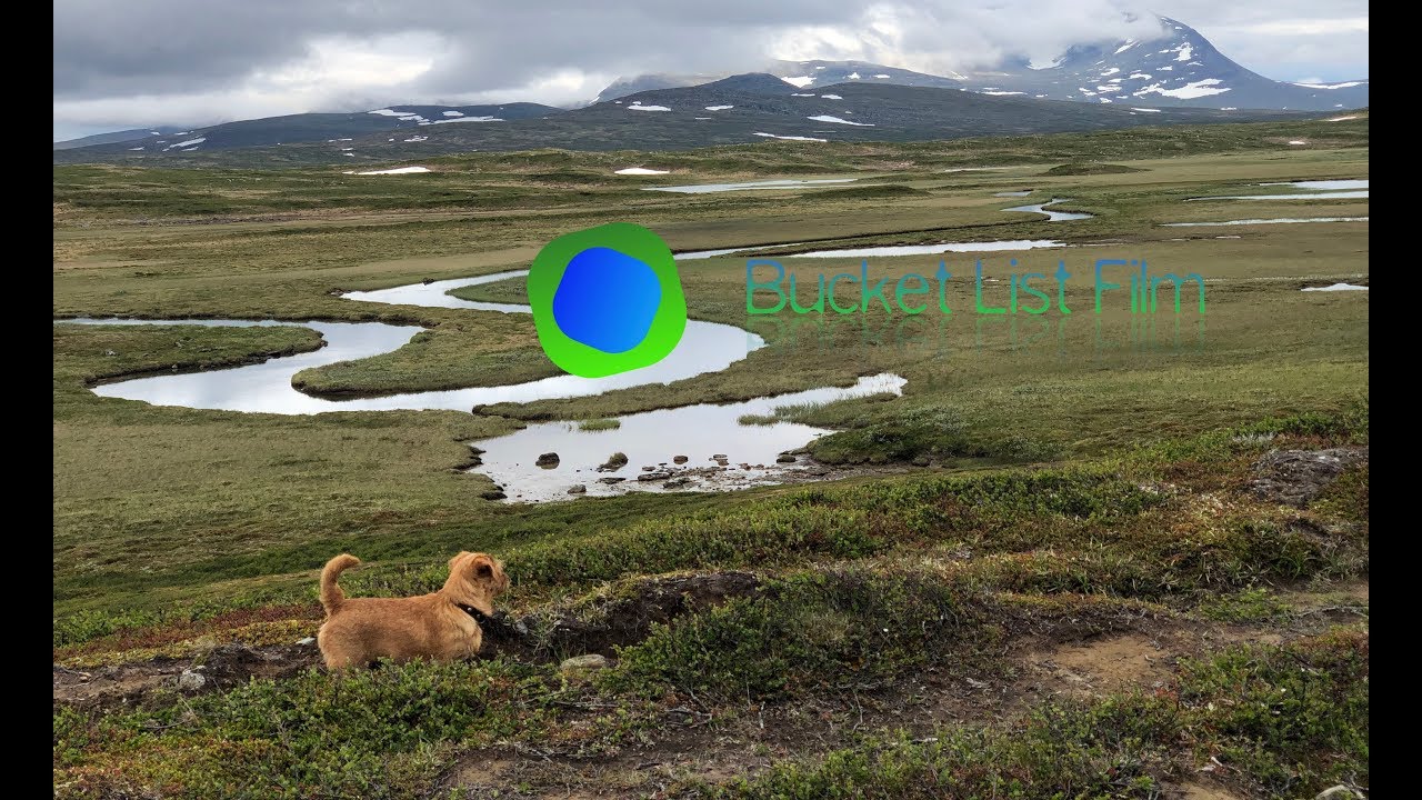 Solovandring med hund: Grövelsjön   Handöl