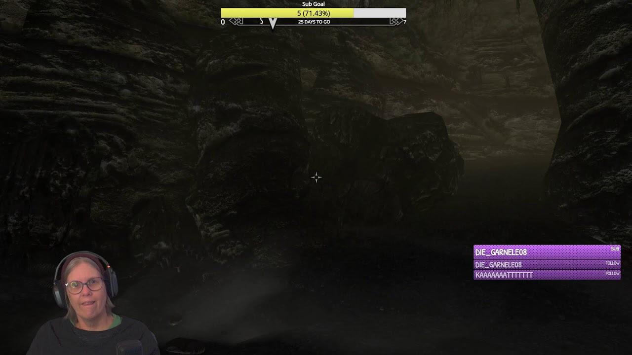 Skyrim Anniversary Edition. With mods