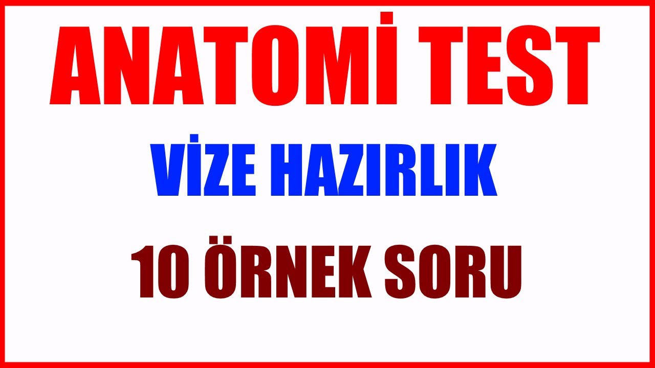 ANATOMİ TESTİ | VİZEYE HAZIRLIK 10 ÖRNEK SORU