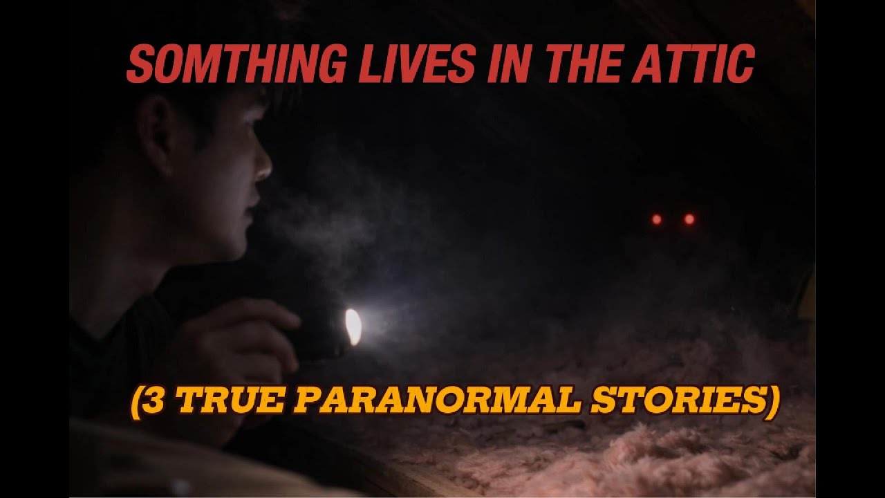 Something Lives in the Attic: 3 True Paranormal Stories