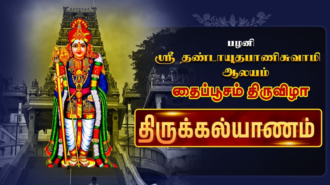 🔴Live: பழனி ஸ்ரீ தண்டாயுதபாணி சுவாமி ஆலய தைப்பூசம் உற்சவம் திருக்கல்யாணம் |  Thaipusam Utsavam