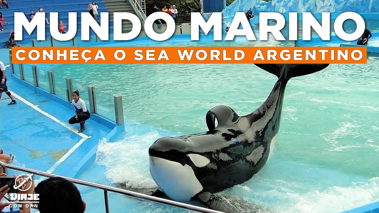 Conheça o Mundo Marino! O SeaWorld da América Latina! 🇦🇷🐳