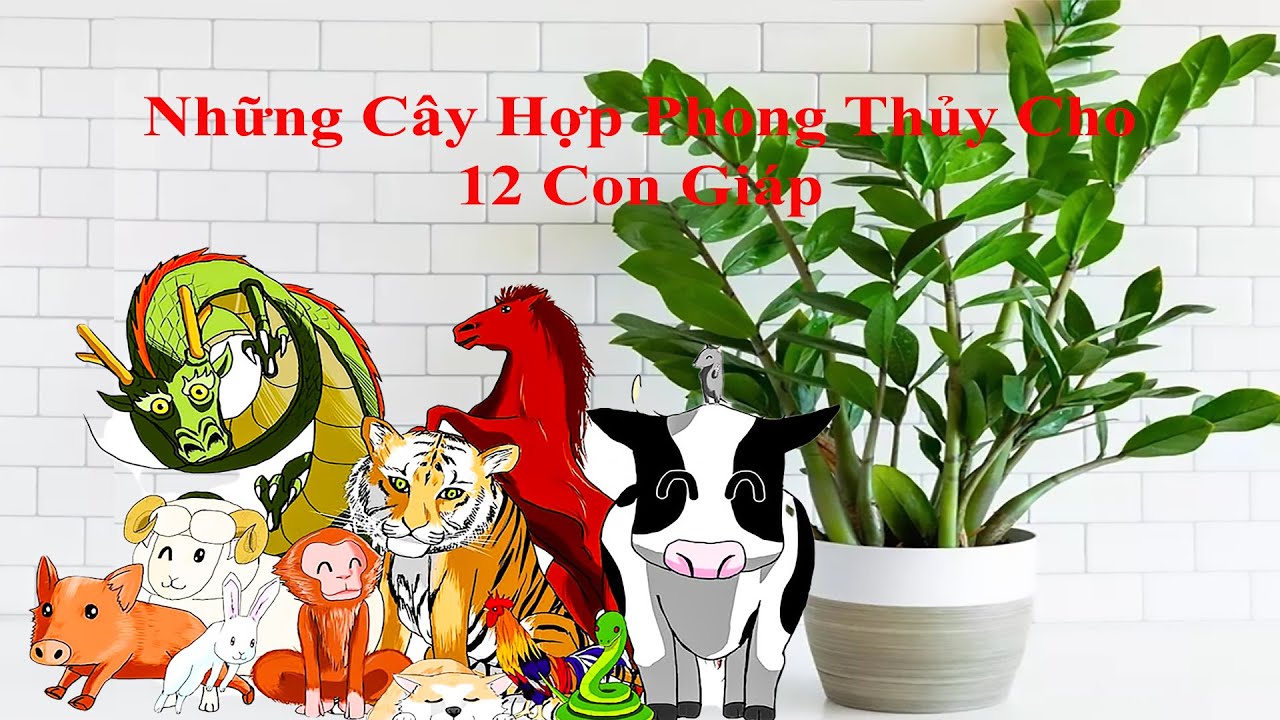 Phong Thủy Kinh Bắc | Những Cây Hợp Phong Thủy Cho 12 Con Giáp