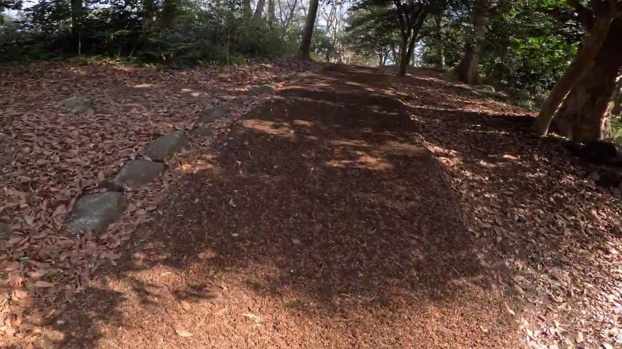 見晴らし台へ向け再出発