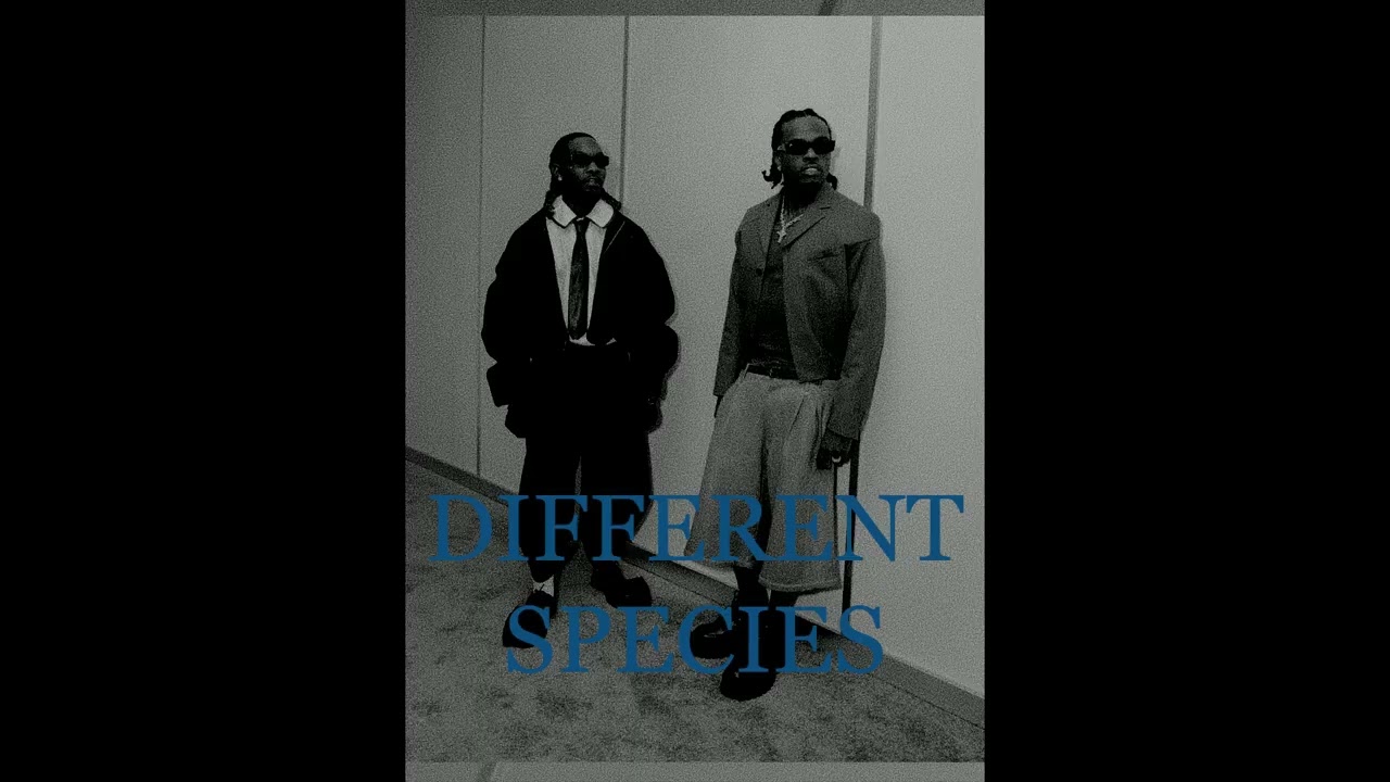 OFFSET x GUNNA TYPE BEAT - DIFFERENT SPECIES