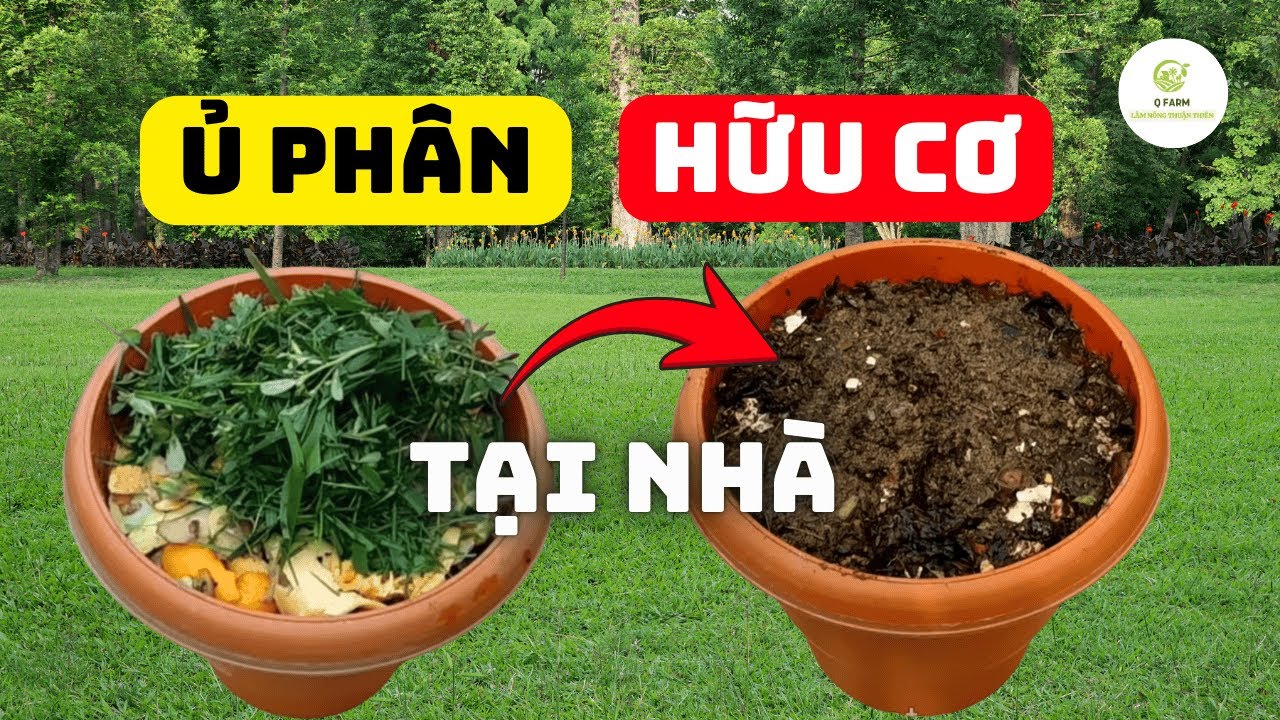 Mẹo Ủ RÁC Nhà Bếp Thành Phân Hữu Cơ Tại Nhà Siêu Đơn Giản