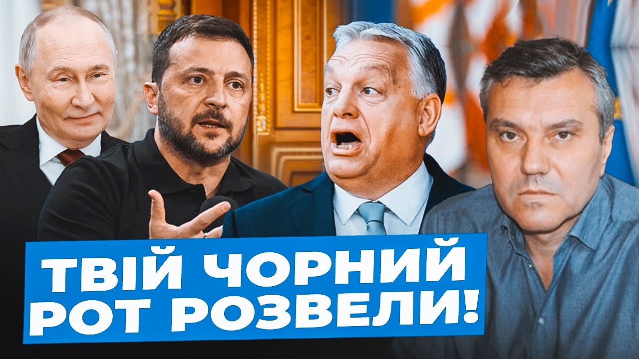 Димов: Зеленський ВЕДЕТЬСЯ на провокації| Влада РОЗБЕЩЕНА злодіями| Бруд ПІДВИЩУЄ рейтинг Залужного