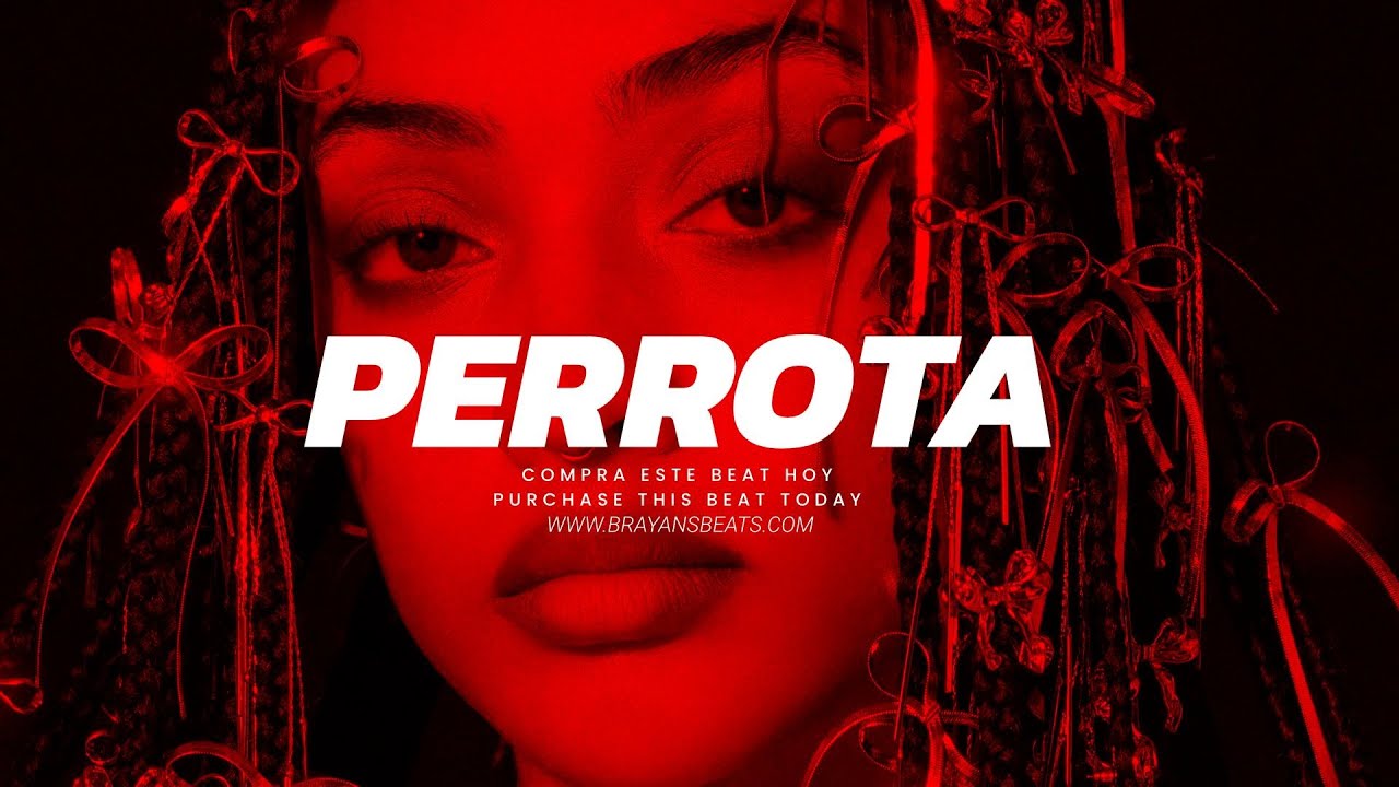 Instrumental De Reggaeton PERREO 