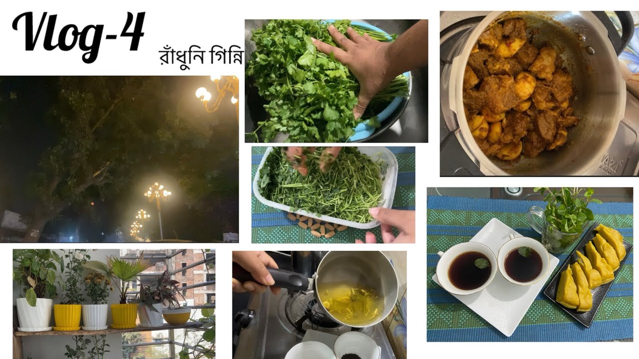 Vlog-4 Kiam pressure cooker (KSPC- 3.5L)  এর হুইসেল না আসার কারন | রমজানের প্রস্তুতি | গাছের যত্ন