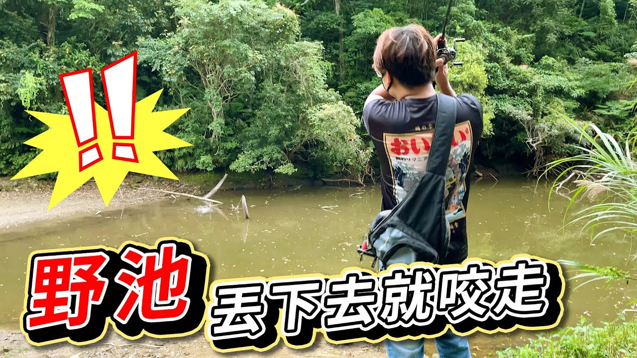 【跟我去釣魚】野池大魚的影子 丟下去就咬走?  인이 알려준 숨은 비밀 수로 MancingIkan