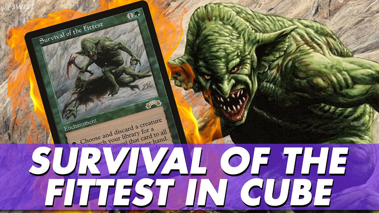 Survival of the Fittest in Cube || Cube Tuesdays EP1