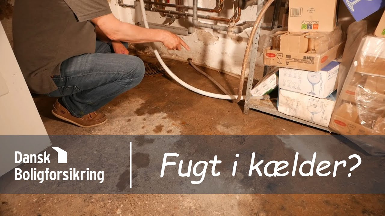 Dansk Boligforsikring p&aring; bes&oslash;g - Fugt i en k&aelig;lder?