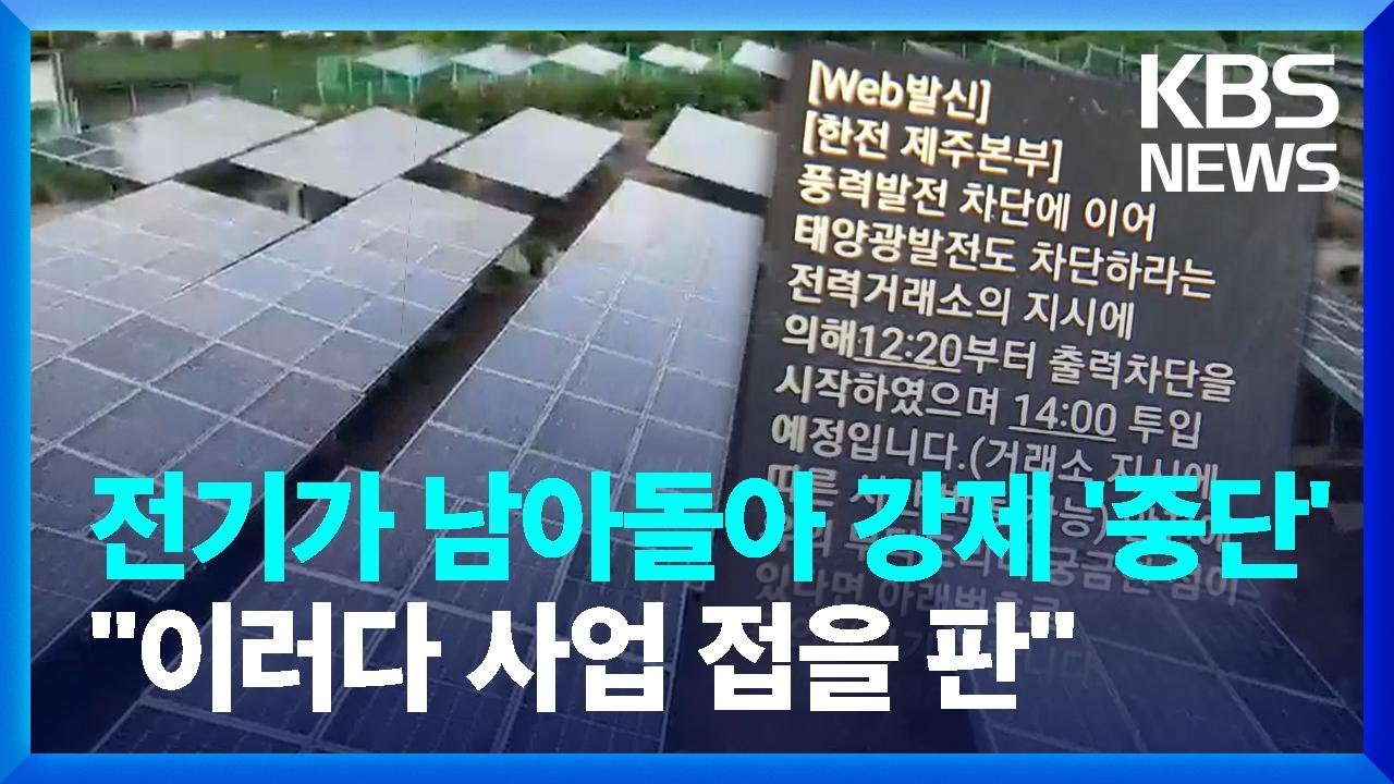 전기가 남아돌아 발전시설 강제 '중단'...