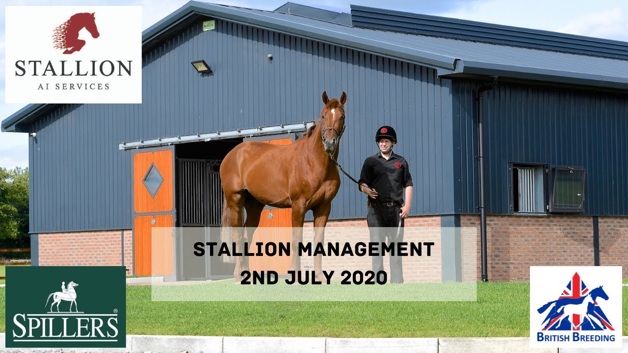 Tullis Talks About Stallion Management with British Breeding 2nd July 2020