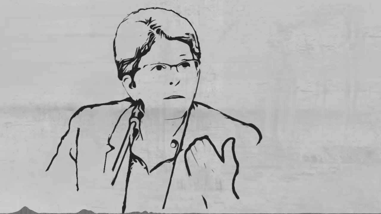 INTERFERENCIA | Abundancia de dólares en Costa Rica: ¿a qué responde y qué esperar?