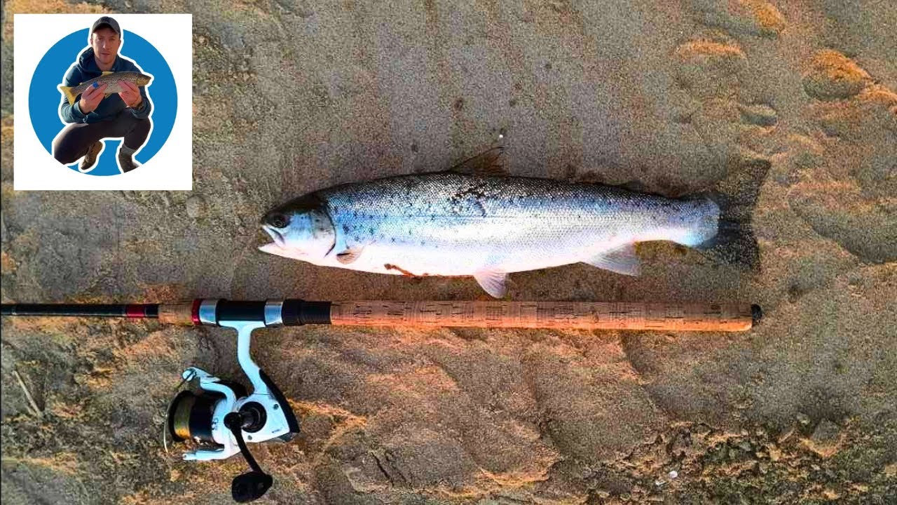 Sea Trout Fishing Ireland