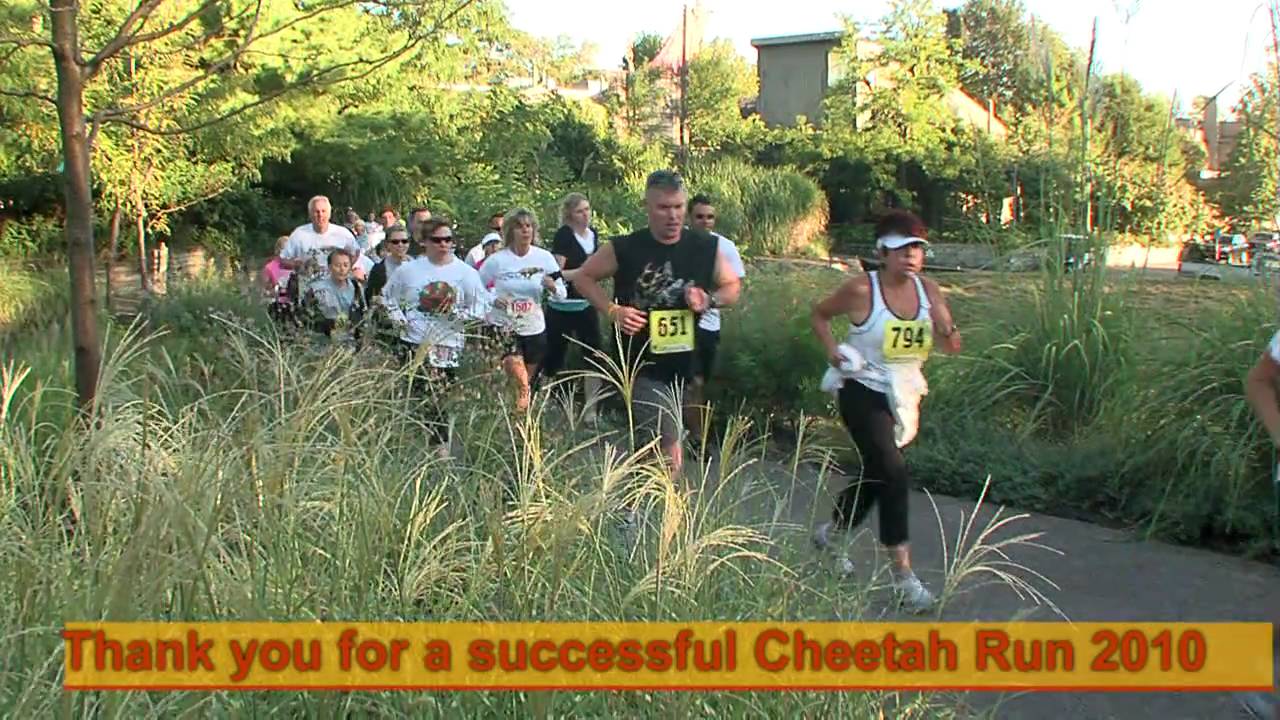 Cheetah Run Thanks-Cincinnati Zoo