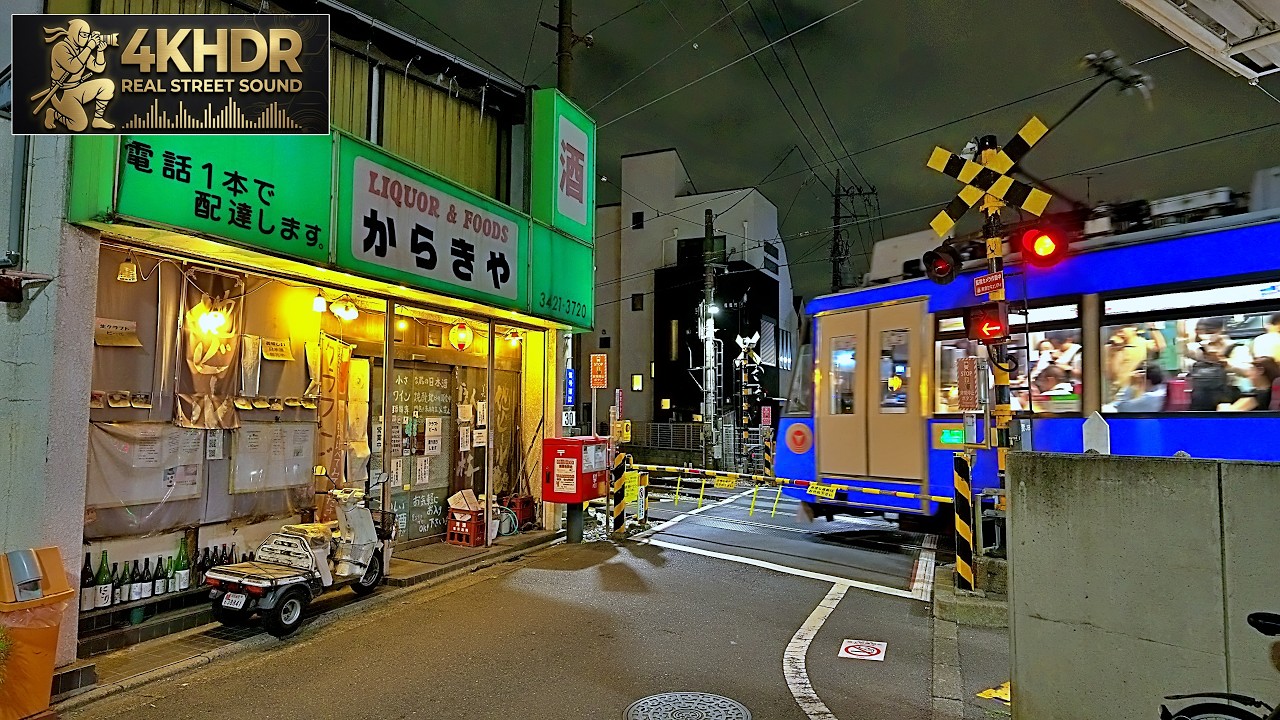 Calm Summer Night Walk in Tokyo Hidden Alleys feeling the Heat | Japan 4K HDR