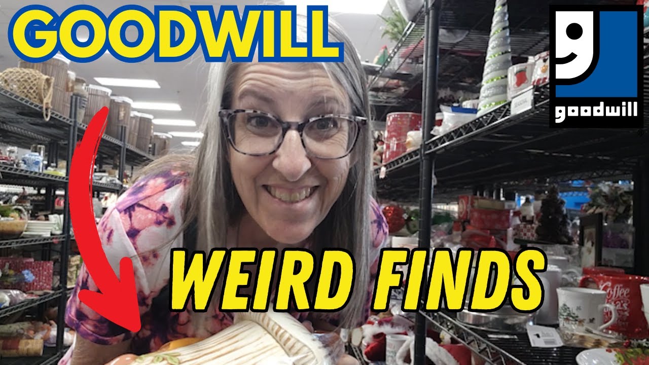 WEIRD FINDS at the Goodwill Thrift Store