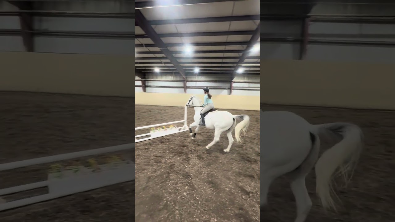 Winter = equitation boot camp! We are already getting so much better at the counter canter! -Olivia￼