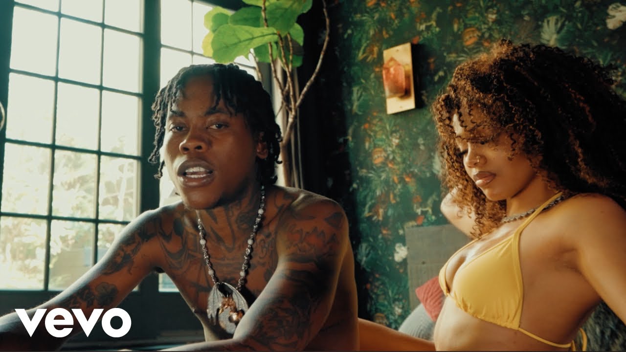 RajahWild - Pretty Face (Official Music Video) | Story Book Riddim